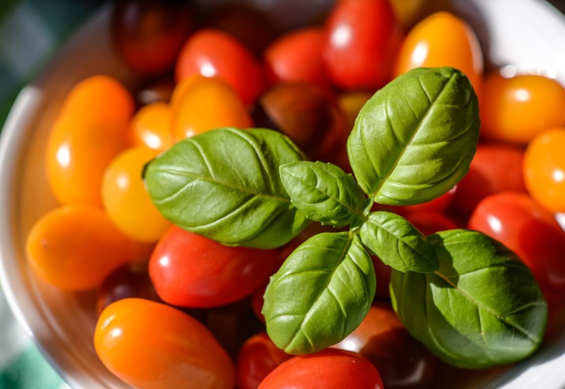 -Basil-3388341-small-