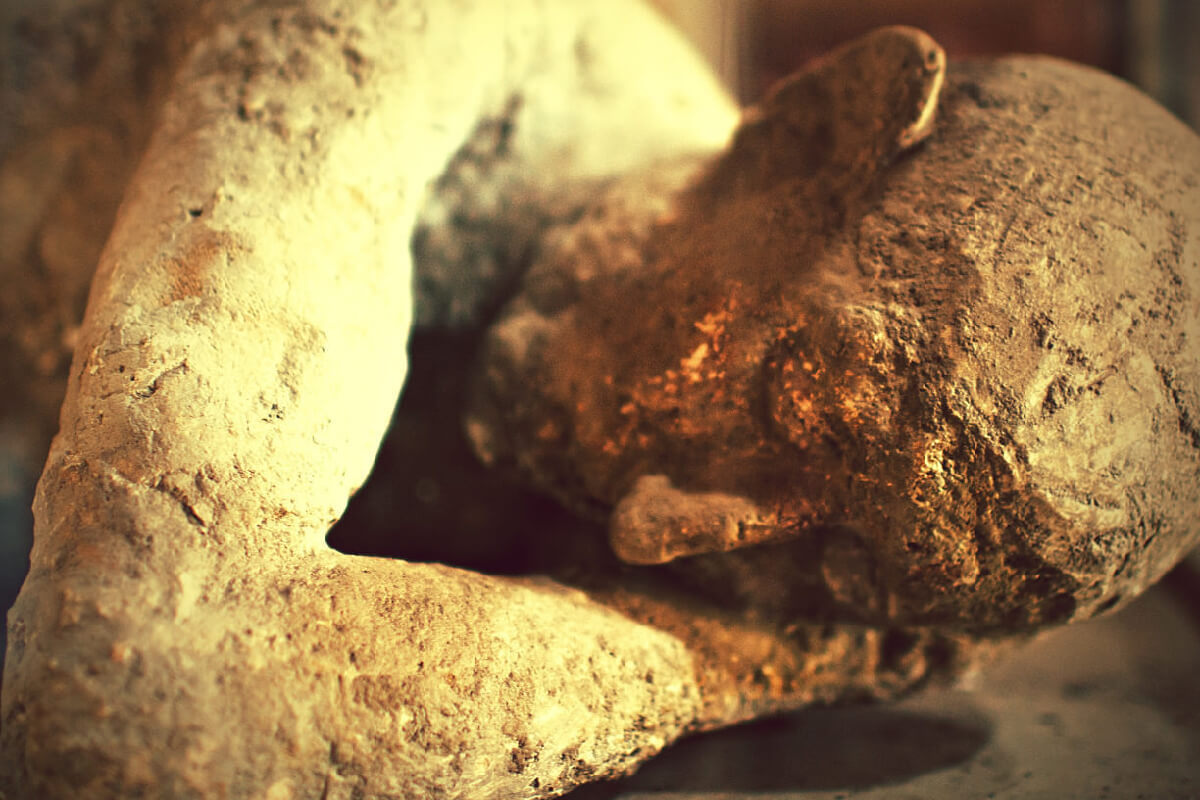 -Copertina-small-1-