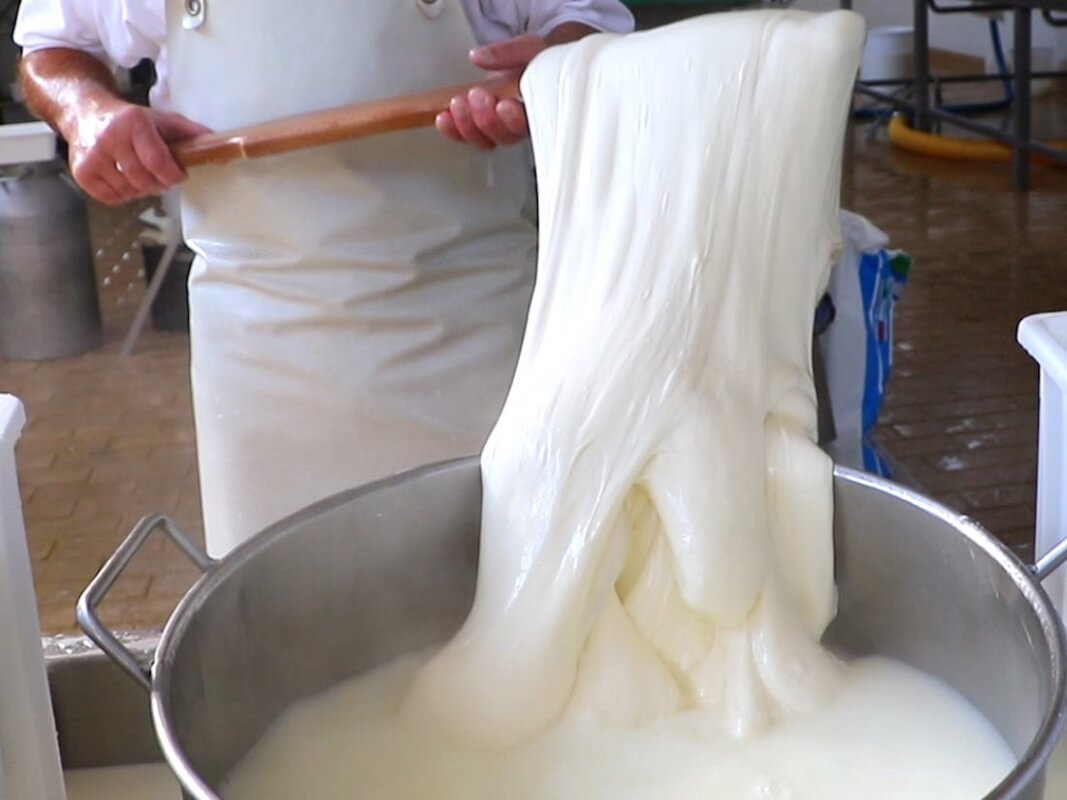 -filatura-mozzarella-1-small-